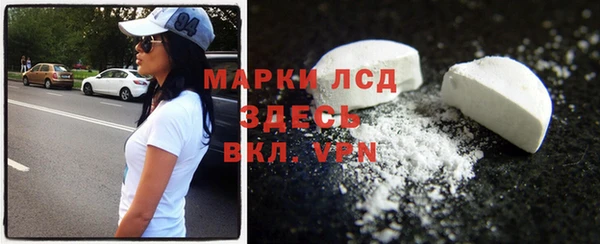 дмт Алзамай