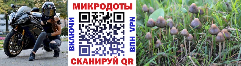где купить наркоту  Удомля  Псилоцибиновые грибы MAGIC MUSHROOMS 