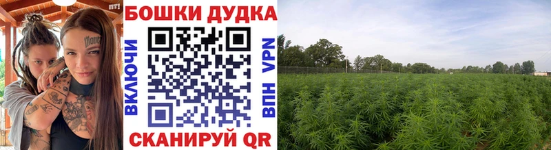 Конопля Bruce Banner  Удомля 